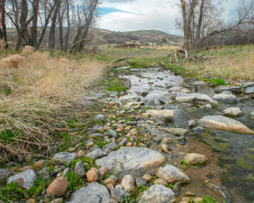 Shallow creek over rocks, grassy hills and cloudy sky.