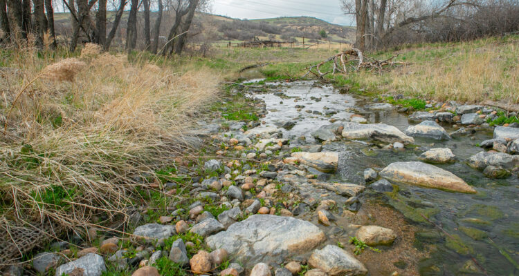 Shallow creek over rocks, grassy hills and cloudy sky.