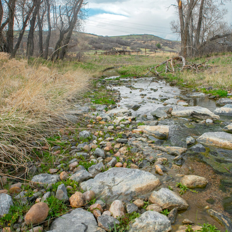 Shallow creek over rocks, grassy hills and cloudy sky.