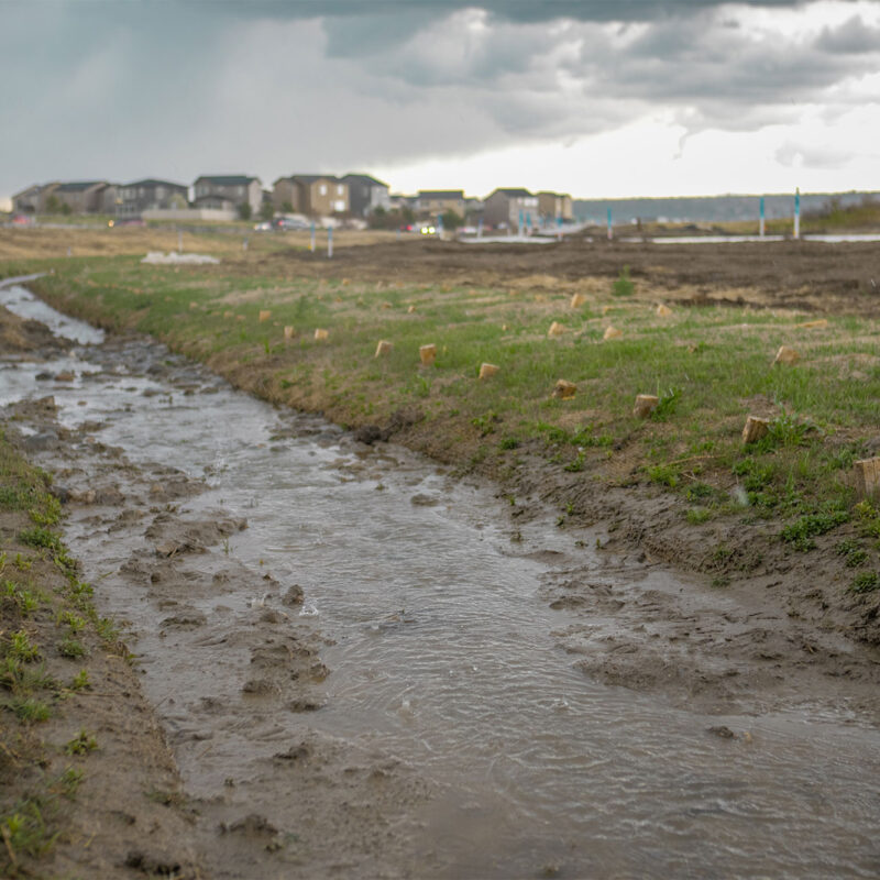 Shallow stream winds through muddy grass, wooden stakes, cloudy sky, houses.