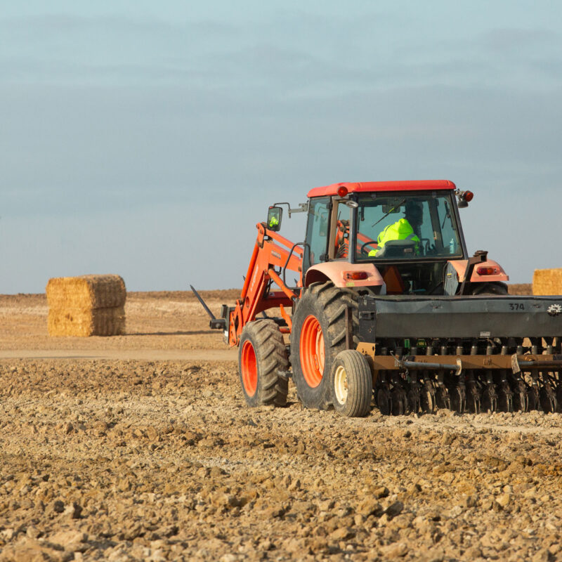 Person drives orange tractor with seed drill in field.